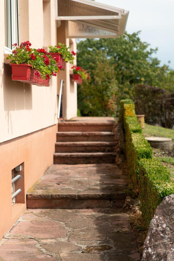 Gite Au Coeur De L'Alsace Maison Gatsby Staffelfelden Bagian luar foto